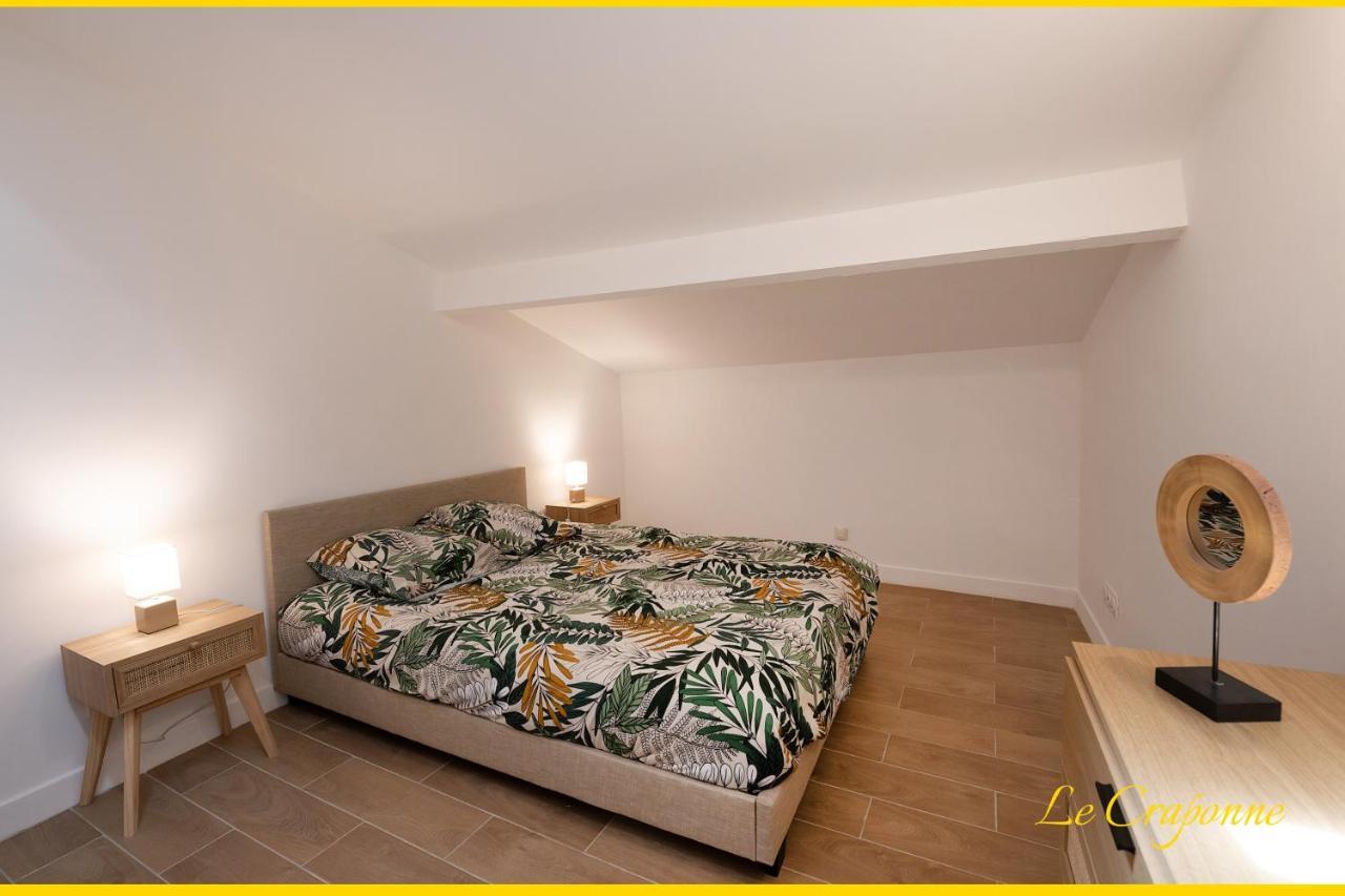 Le Craponne - Magnifique Appartement Cours Principal Plein Centre Avec Parking Σαλόν-ντε-Προβάνς Εξωτερικό φωτογραφία